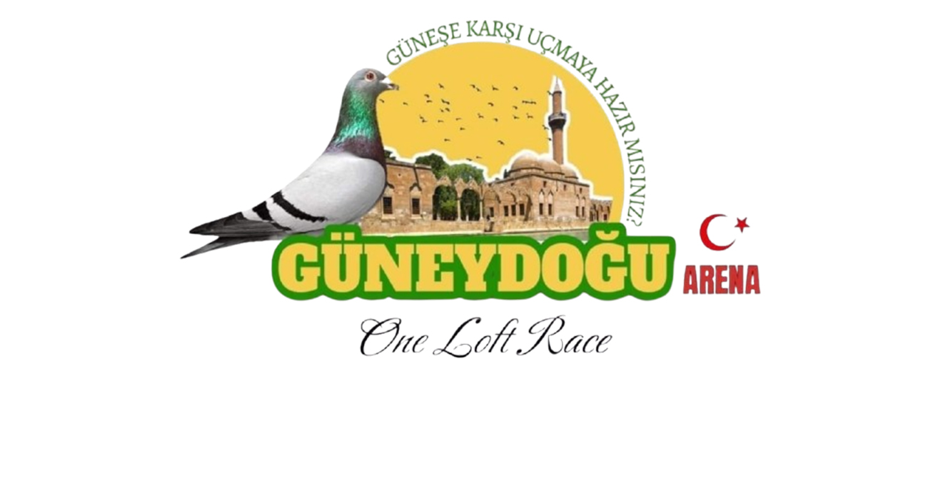 Güneydoğu Arena - İhale - Açık Arttırma Güvercin